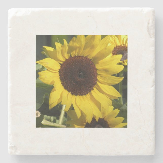 Dessous-de-verre En Pierre Tournesol (Devant)