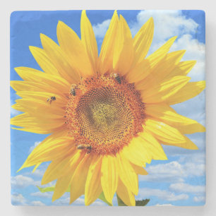 Dessous-de-verre En Pierre Tournesol jaune et Pierre d'abeilles Dessous de ve