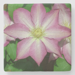 Dessous-de-verre En Pierre Trio de Clematis Pink and White Spring Vine