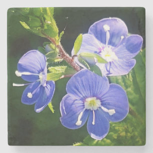 Dessous-de-verre En Pierre Trois fleurs bleues