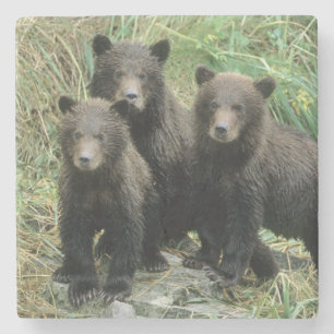 Dessous-de-verre En Pierre Trois oursons grizzli ou coys