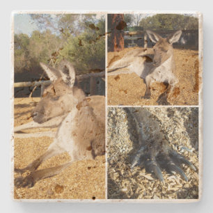 Dessous-de-verre En Pierre Trois photos de Kangaroo Photo Collage,