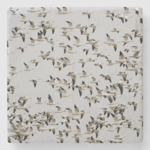 Dessous-de-verre En Pierre Troupeau d'oies en vol