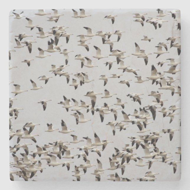 Dessous-de-verre En Pierre Troupeau d'oies en vol (Devant)