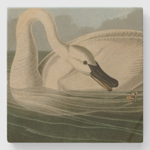Dessous-de-verre En Pierre Trumpeter Swan