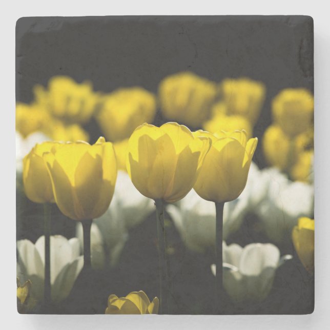Dessous-de-verre En Pierre Tulipes Jaune Et Blanc (Devant)