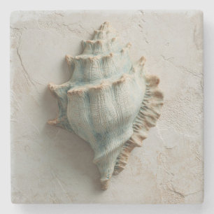 Dessous-de-verre En Pierre Turquoise et coquille de conque de sable Côtière