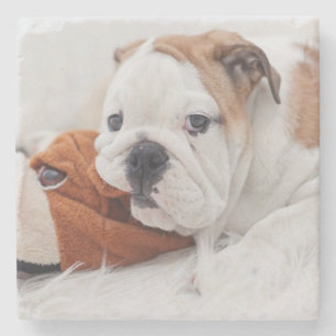 Dessous-de-verre En Pierre Un chiot anglais de bouledogue jouant avec un