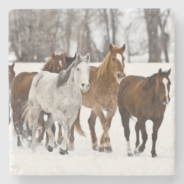 Dessous-de-verre En Pierre Un hiver pittoresque de course (Devant)