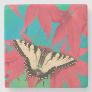 Dessous-de-verre En Pierre Un papillon swallowtail tigre canadien