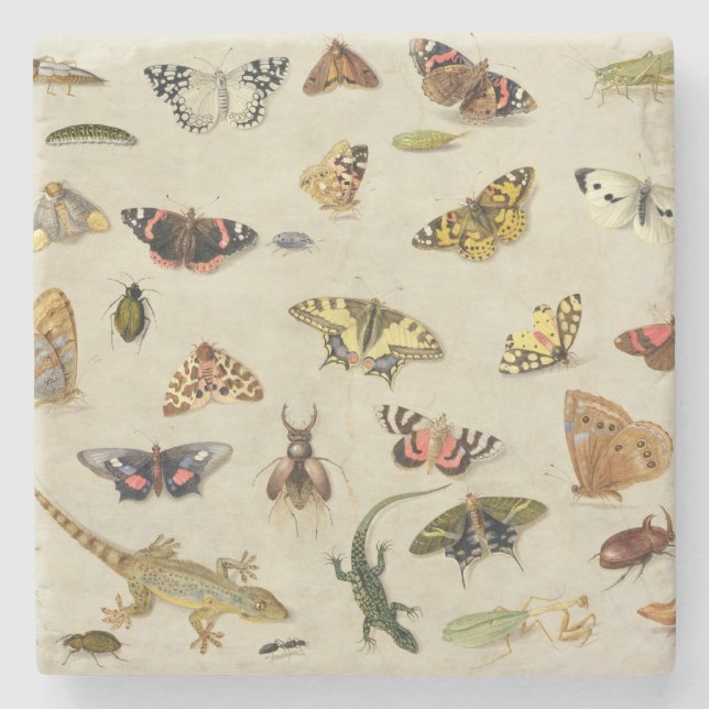 Dessous-de-verre En Pierre Une étude des insectes (Devant)