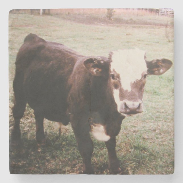 Dessous-de-verre En Pierre Vache à crème Brown (Devant)