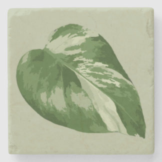 Dessous-de-verre En Pierre Variegated Monstera Leaf – Real Plant Art