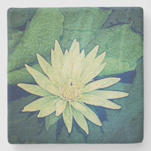 Dessous-de-verre En Pierre Vert de fleur de nénuphar