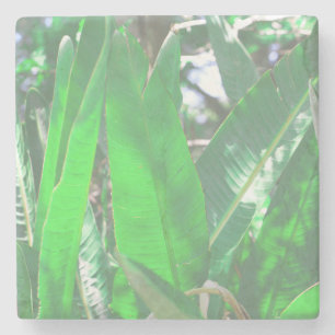 Dessous-de-verre En Pierre Vibes d'été Banana Tree Feuilles Pale Green Pastel