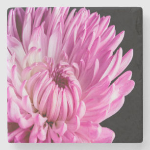 Dessous-de-verre En Pierre Vibrant en Dahlia Rose
