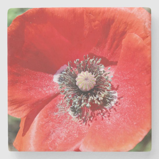 Dessous-de-verre En Pierre Vibrant Red Macro Botanical Poppy Floral (Devant)