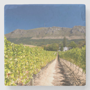 Dessous-de-verre En Pierre Vignoble, Le Cap, Cap-Occidental, Afrique du Sud 2