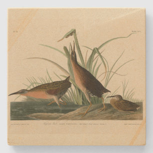 Dessous-de-verre En Pierre Virginia Rail de Audubon's Birds of America