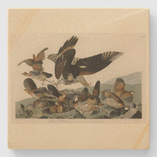 Dessous-de-verre En Pierre Virginian Partridge, Audubon's Birds of America