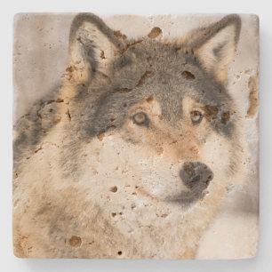 Dessous-de-verre En Pierre Visage de loup