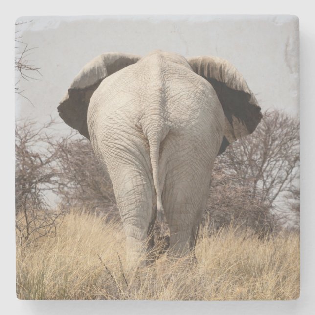 Dessous-de-verre En Pierre Vue arrière de l'éléphant (Devant)