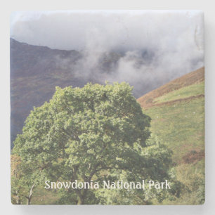 DESSOUS-DE-VERRE EN PIERRE VUES DES ALLES