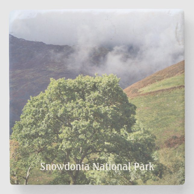 DESSOUS-DE-VERRE EN PIERRE VUES DES ALLES (Devant)