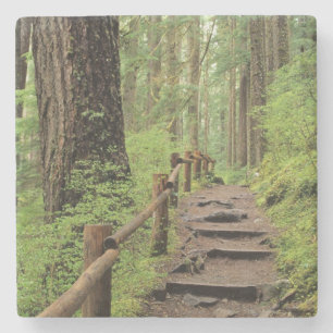 Dessous-de-verre En Pierre WA, parc national olympique, vallée de Sol Duc, f