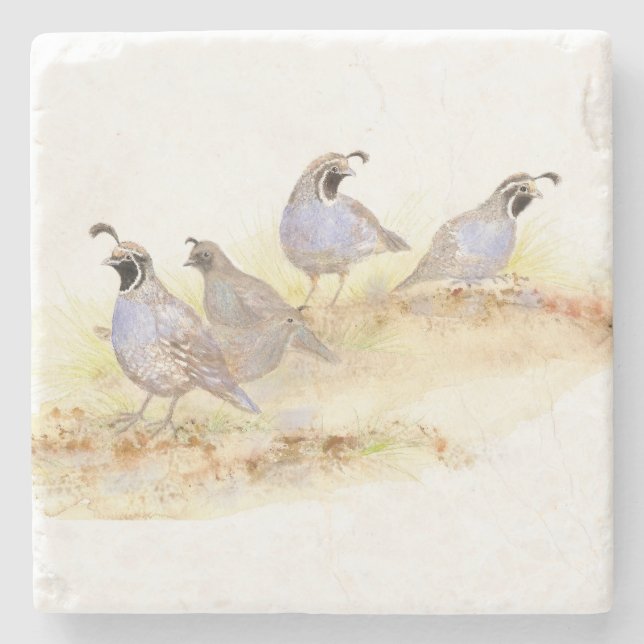 Dessous-de-verre En Pierre Watercolor California Quail Bird Art naturel (Devant)