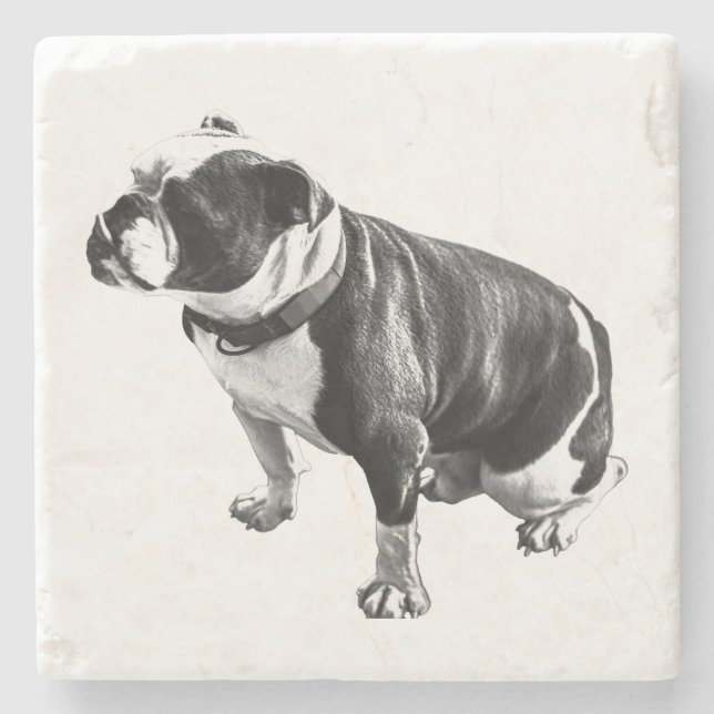 Dessous-de-verre En Pierre Weight Held in Stillness (Devant)