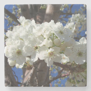 Dessous-de-verre En Pierre White Blossoms II