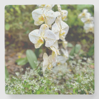 Dessous-de-verre En Pierre White Orchid