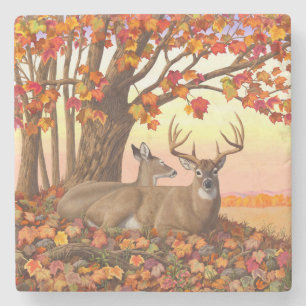 Dessous-de-verre En Pierre Whitetail Deer Maple Tree Autumn