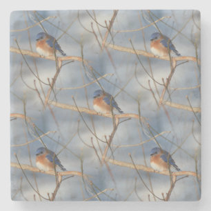Dessous-de-verre En Pierre Winter Bluebird Nature Art Motif