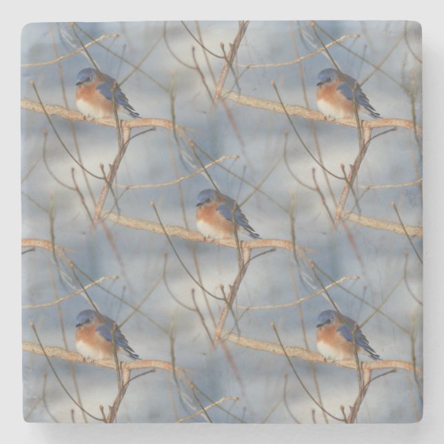 Dessous-de-verre En Pierre Winter Bluebird Nature Art Motif (Devant)