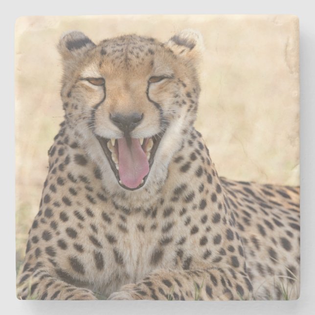 Dessous-de-verre En Pierre Yawning Cheetah (Devant)