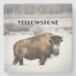 Dessous-de-verre En Pierre Yellowstone Snowy Buffalo Souvenir Dessous de verr