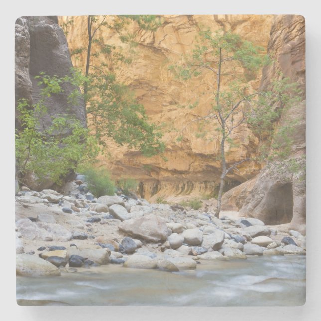 Dessous-de-verre En Pierre Zion Narrows (Devant)
