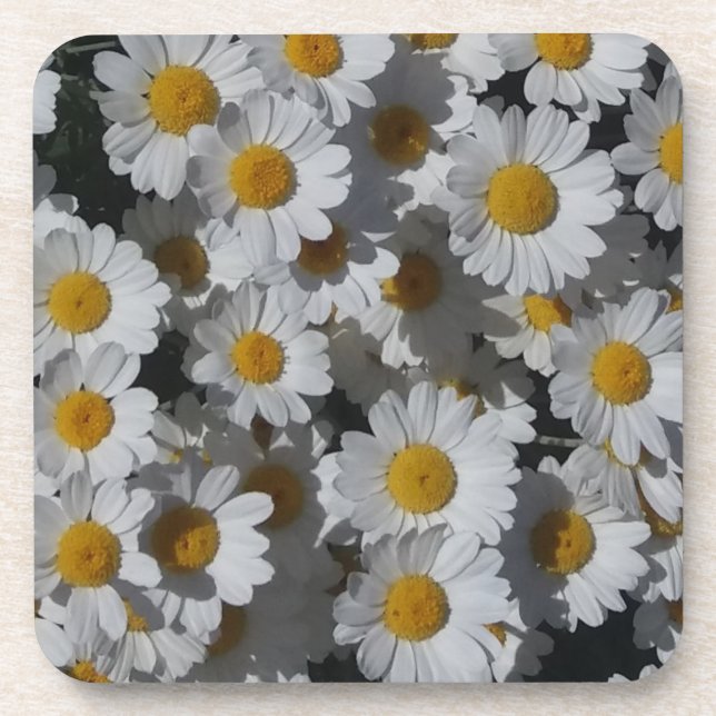 Dessous de verre en plastique blanc (Devant)