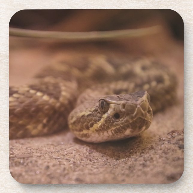 Dessous de verre en plastique dur (Devant)