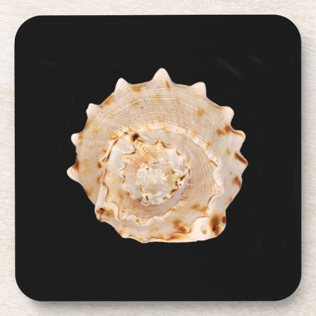 Dessous de verre en plastique dur Conch Shell (Devant)