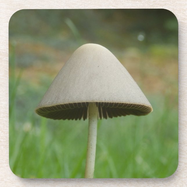 Dessous de verre en plastique dur du champignon Co (Devant)
