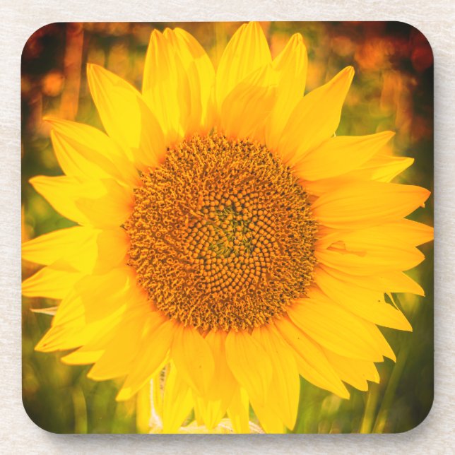 Dessous de verre en plastique dur "Tournesol" (Devant)