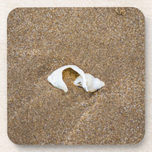 Dessous de verre en plastique durs de coquille