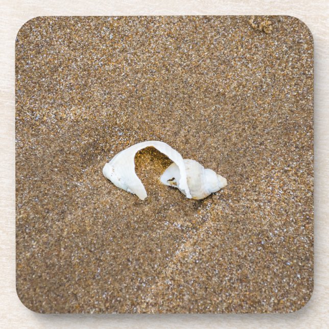 Dessous de verre en plastique durs de coquille (Devant)