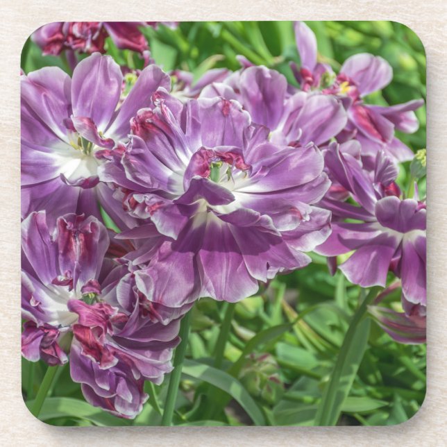 Dessous de verre en plastique durs de fleurs (Devant)