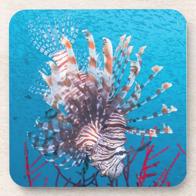 Dessous de verre en plastique durs de Lionfish (Devant)