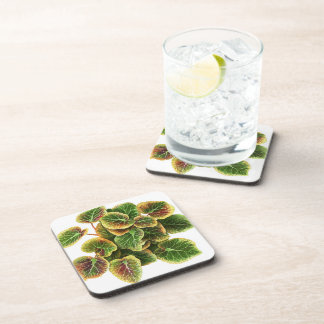 dessous de verre en plastique pilea feuille