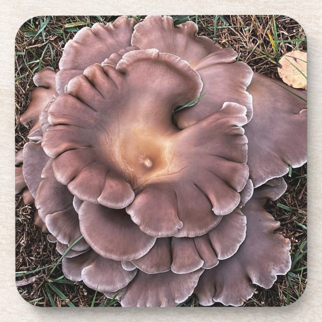 Dessous de verre en plastique rigide Fungi (Devant)